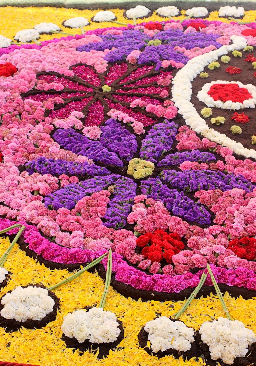 Particolare fiori Noto